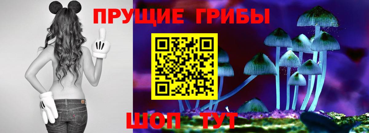 Псилоцибиновые грибы Psilocybine cubensis Лесосибирск