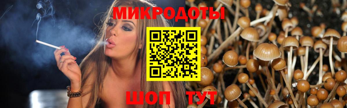 магазин    Вход с VPN  Лесосибирск  Псилоцибиновые грибы Psilocybine cubensis  Псилоцибиновые грибы Psilocybine cubensis 